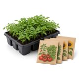 Seeds & Plants
