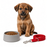 Pet Supplies