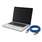 IT & Telecommunications